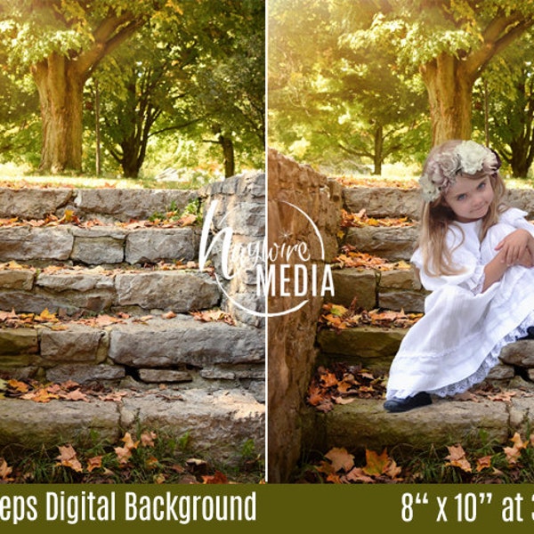 Beautiful Outdoor Nature Stone Steps with Trees - Spring Backdrop Scene - Digital Photography JPG Background Prop for Children or Adults