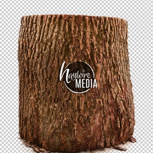 May include: A close-up of a large, weathered tree stump with a rough, brown bark texture.