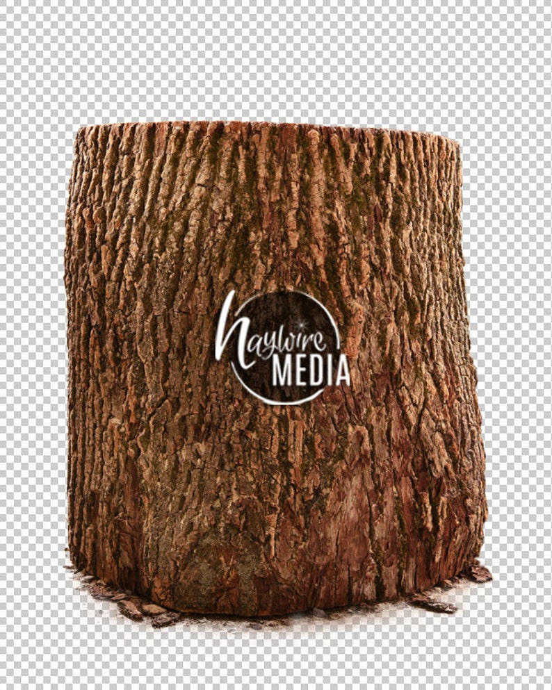 May include: A close-up of a large, weathered tree stump with a rough, brown bark texture.