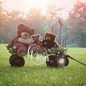Cute Baby, Toddler, Child, Teddy Bear Wagon Photography Digital Backdrop Prop for Photographers, Outdoor Baby Portrait, Digital JPG Download