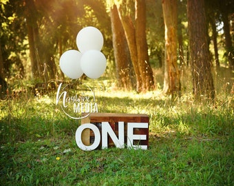 First Birthday Balloon Photo Background: ONE Letters (Digital Download)