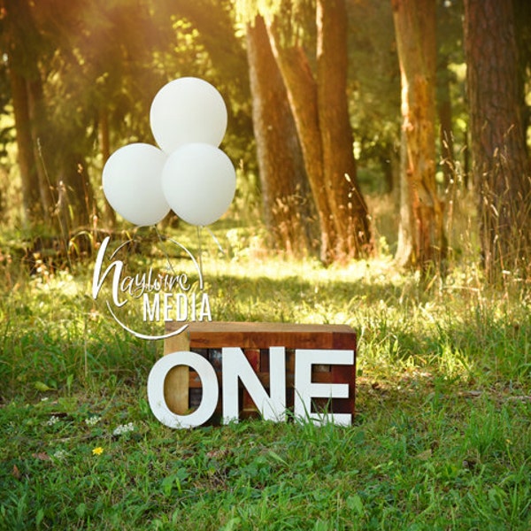 Baby, Toddler, Child, First Birthday Balloon Photography Digital Background Prop for Photographers with ONE Letters - First Birthday Photo