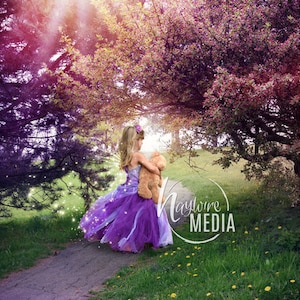 Magical Child Fairytale Enchanted Nature Forest in Trail - Digital Photo Background Background for Photographers with Trees - Téléchargement instantané
