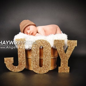 Newborn, Baby, Toddler, Child, Basket Photography Digital Backdrop Prop for Photographers with Christmas JOY Background with Fur Coverup