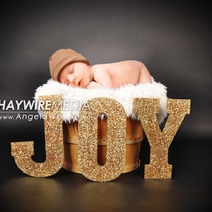 Newborn, Baby, Toddler, Child, Basket Photography Digital Backdrop Prop for Photographers with Christmas JOY Background with Fur Coverup