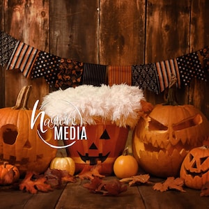 Nouveau-né, bébé, tout-petit, enfant, Halloween panier de fourrure photographie accessoire de toile de fond numérique pour les photographes avec citrouilles Jack O Lanterns
