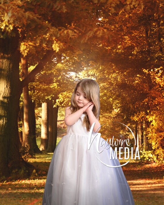 Fotohintergrund Herbstlandschaft 1,8x1,2m – Vinyl-Banner Für Foto-Shootings & Party-Deko