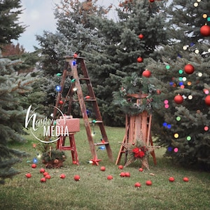 Outdoor christmas backdrop ideas Clearance