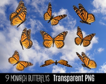 Monarch Butterfly Wings PNG Overlays: Fairytale Photo Effects Digital Download