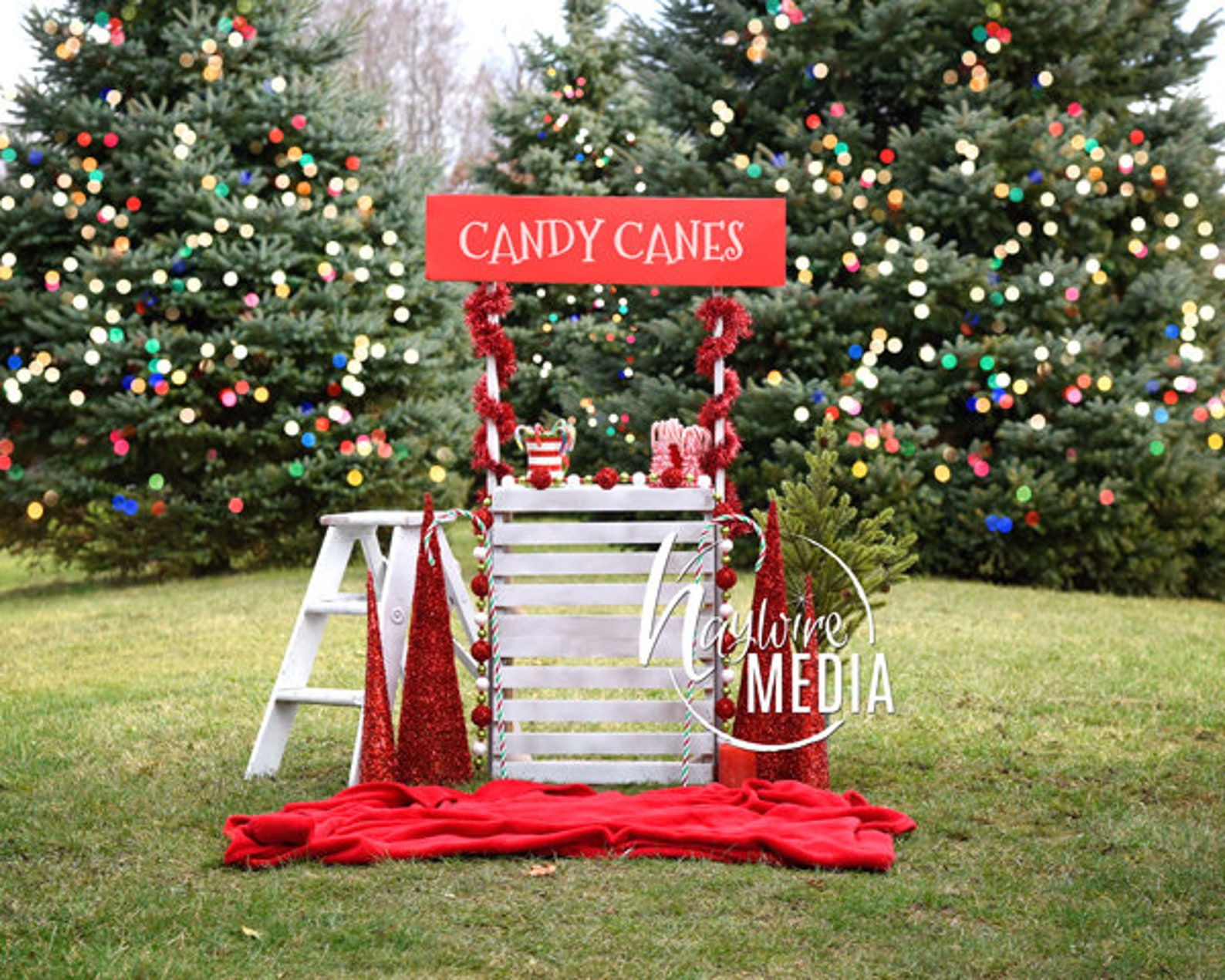 Winter Candy Cane Christmas Stand Booth Outdoor Photography Etsy