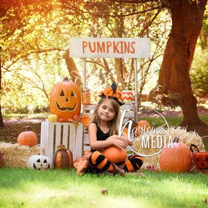 Baby, Toddler, Child, Pumpkin Wooden Stand Booth Digital Backdrop for Halloween or Fall Nature Photo Background Outside Holiday Idea image 2