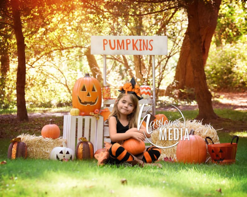 Baby, Toddler, Child, Pumpkin Wooden Stand Booth Digital Backdrop for Halloween or Fall Nature Photo Background Outside Holiday Idea image 2