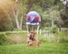 Baby, Toddler, Child, Nature Hot Air Balloon Basket Photography Digital Backdrop Background Prop for Photographers - PNG Coverup Layer 