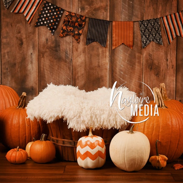 Newborn, Baby, Toddler, Child, Halloween Fur Basket Photography Digital Backdrop Prop for Photographers with Pumpkins - PNG Coverup Layer