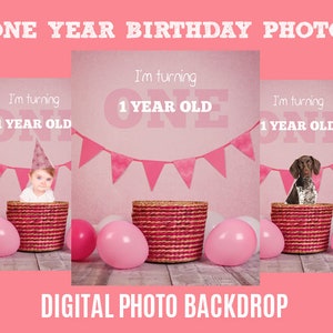 Baby, Toddler, Child, Pet First Birthday Photography Digital Backdrop Background Prop with Pink Party Balloons for Photographers