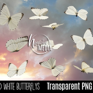 10 Transparent PNG Beautiful White Butterfly Fairytale Wings - Photoshop Photo Overlay Prop for Photographers - Instant Download