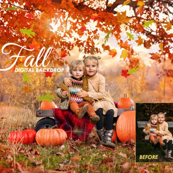 Fall Nature Pumpkin Outdoor Wagon Digital Backdrop for Halloween or Autumn Photo Background, Baby, Toddler, Child, Outside Mini Session