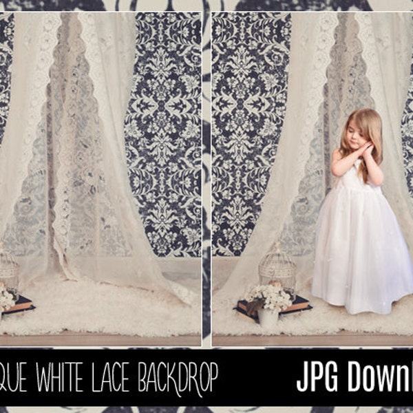 Baby Toddler Child White Lace Canopy Studio Digital Backdrop - Damask Pattern Background - Photography Background with Fur PNG Coverup