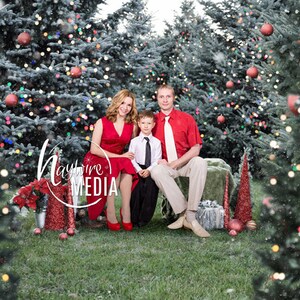 Family Outdoor Christmas Photography Session, Snow Trees Photography Digital Backdrop for Photographers, Child, Kids, Portrait JPG