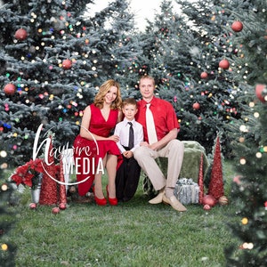 Family Outdoor Christmas Photography Session, Snow Trees Photography Digital Backdrop for Photographers, Child, Kids, Portrait JPG