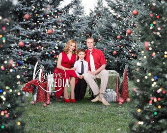 Family Outdoor Christmas Photography Session, Snow Trees Photography Digital Backdrop for Photographers, Child, Kids, Portrait JPG