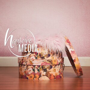 Beautiful Pink Newborn Baby Portrait - vintage Flower Travel Box - Digital Backdrop - Baby Photography Portrait - Instant Download