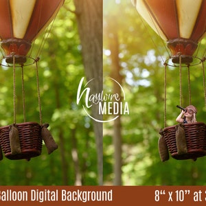 Baby, Toddler, Child, Nature Hot Air Balloon Basket Photography Digital Backdrop Background Prop for Photographers - JPG Download