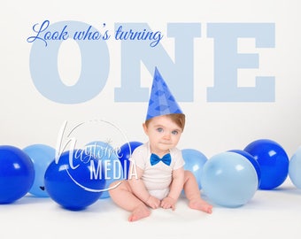 Baby Toddler Child First Birthday Photography Digital - Etsy Australia