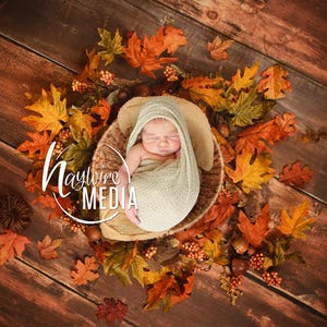 Autumn Baby Basket Digital Backdrop: Fall Leaves Photography Prop (JPG File)