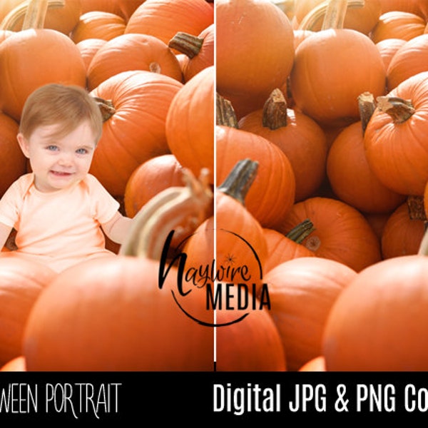 Baby Toddler Child Outdoor Holiday Halloween Pumpkin Patch Digital Backdrop - Digital Photography Background - JPG Download with PNG Layer