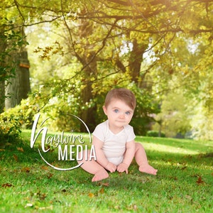 Baby Child Outdoor Nature Backdrop Scene with Grass & Trees - Digital Photography Background Spring Prop for Children - Instant Download