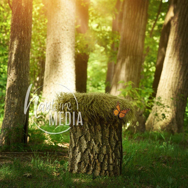 Newborn Baby Toddler Child Grass Forest Bed Tree Stump - Portrait Digital Backdrop - Photography Background - Tree Log Photo Prop - JPG