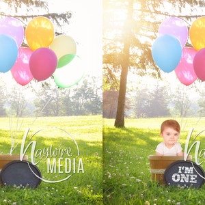 Baby, Toddler, Child, Birthday Balloon Basket Photography Digital Background Prop for Photographers with Chalkboard - With PNG Coverup Layer