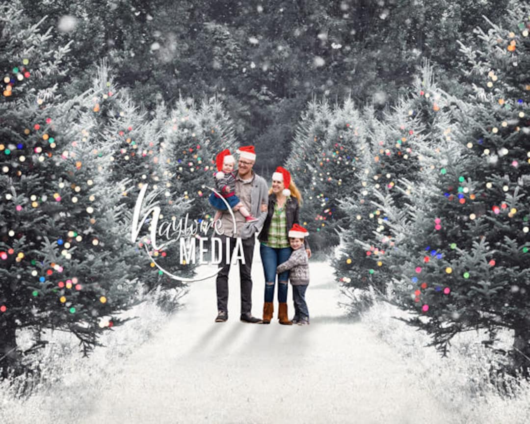 Outdoor Family Christmas Pictures 