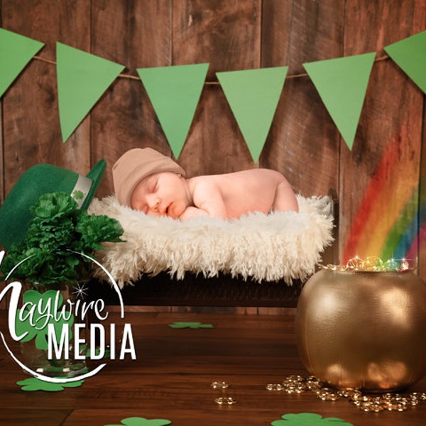 Neugeborene, Baby, Kleinkind, Kind St. Patricks Day Fotografie Digitale Kulisse für Fotografen mit Topf voll Gold, Kleeblätter auf Holz Wand