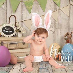 Baby, Toddler, Child, Easter Photography Digital Backdrop Background Prop for Photographers - Vintage Suitcase - Cute Easter Portrait