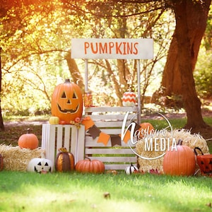 Baby, Toddler, Child, Pumpkin Wooden Stand Booth Digital Backdrop for Halloween or Fall Nature Photo Background Outside Holiday Idea image 1