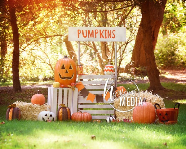 Baby, Toddler, Child, Pumpkin Wooden Stand Booth Digital Backdrop for Halloween or Fall Nature Photo Background - Outside Holiday Idea