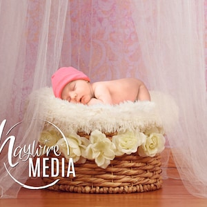 Pretty Pink Newborn Baby White Canopy Fur Bed Basket Studio Digital Backdrop for Babies - Photography Background with Fur PNG Coverup
