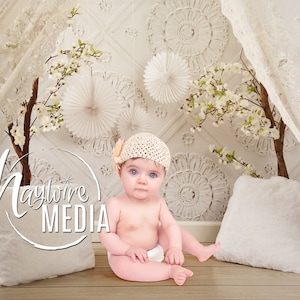 Baby toddler niño blanco encaje dosel con Vintage Wall Studio Digital Telón - Fondo de fotografía para fotógrafos