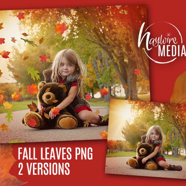 2 PNG Versions of Fall Leaves Falling on a Transparent Digital Background - Photoshop Overlays - Isolated Background