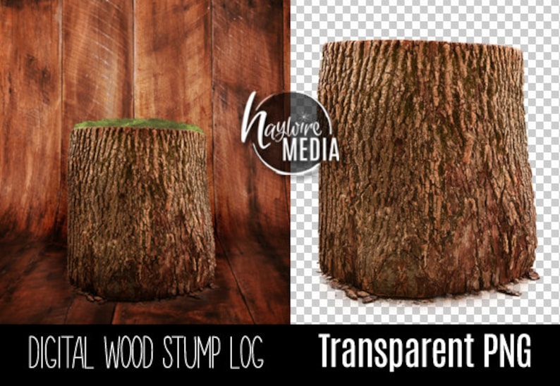 May include: A brown tree stump with a green moss top. The stump is isolated on a white background.