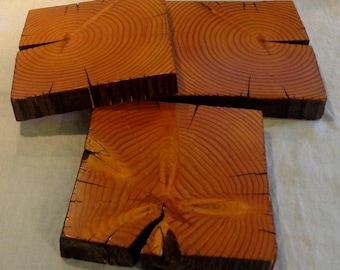 Douglas Fir fence post coaster, trivet