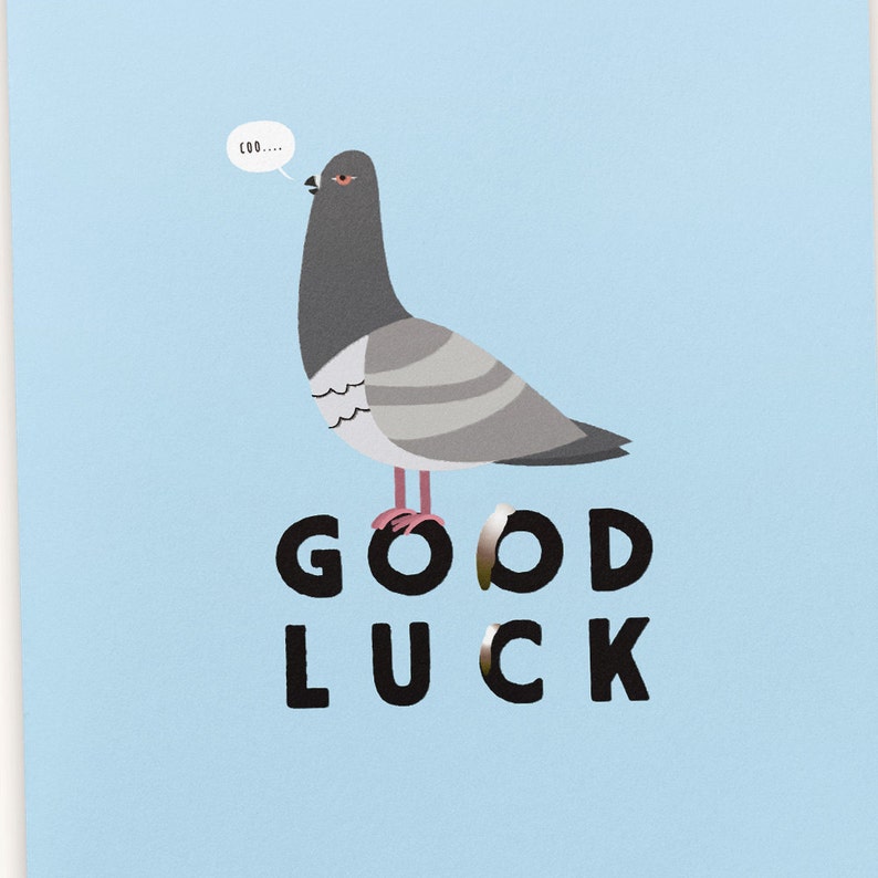 Is it good luck if a bird poops on you twice Is it good luck if a bird poops on you twice