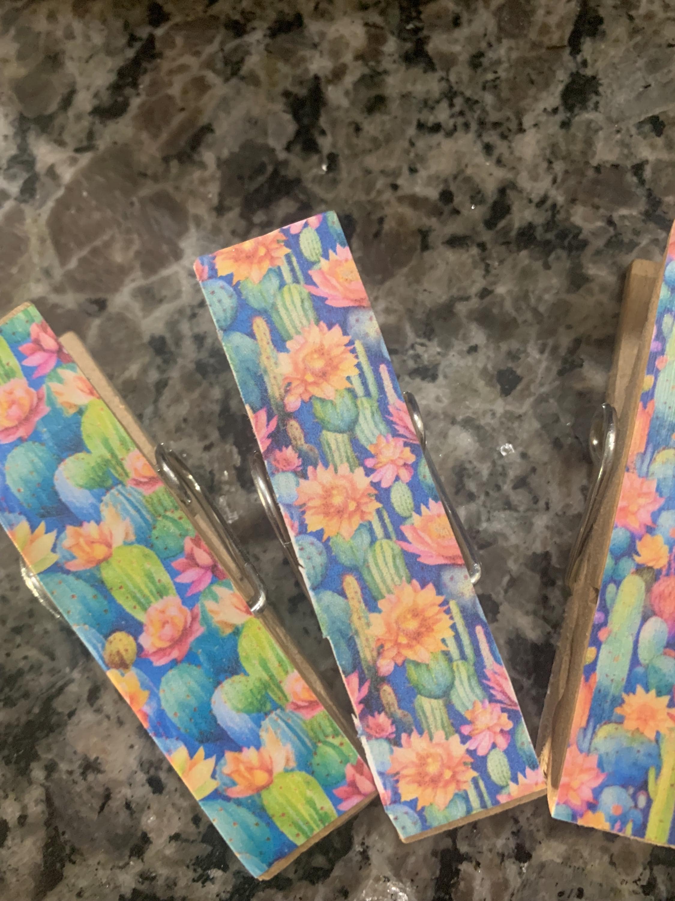 Colorful Cacti - Set of 3 Chip Snack Clips Handmade Decorated