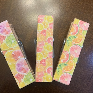 Summertime citrus  - set of 3 Chip Snack Clips Handmade Decorated Wooden Clothespins
