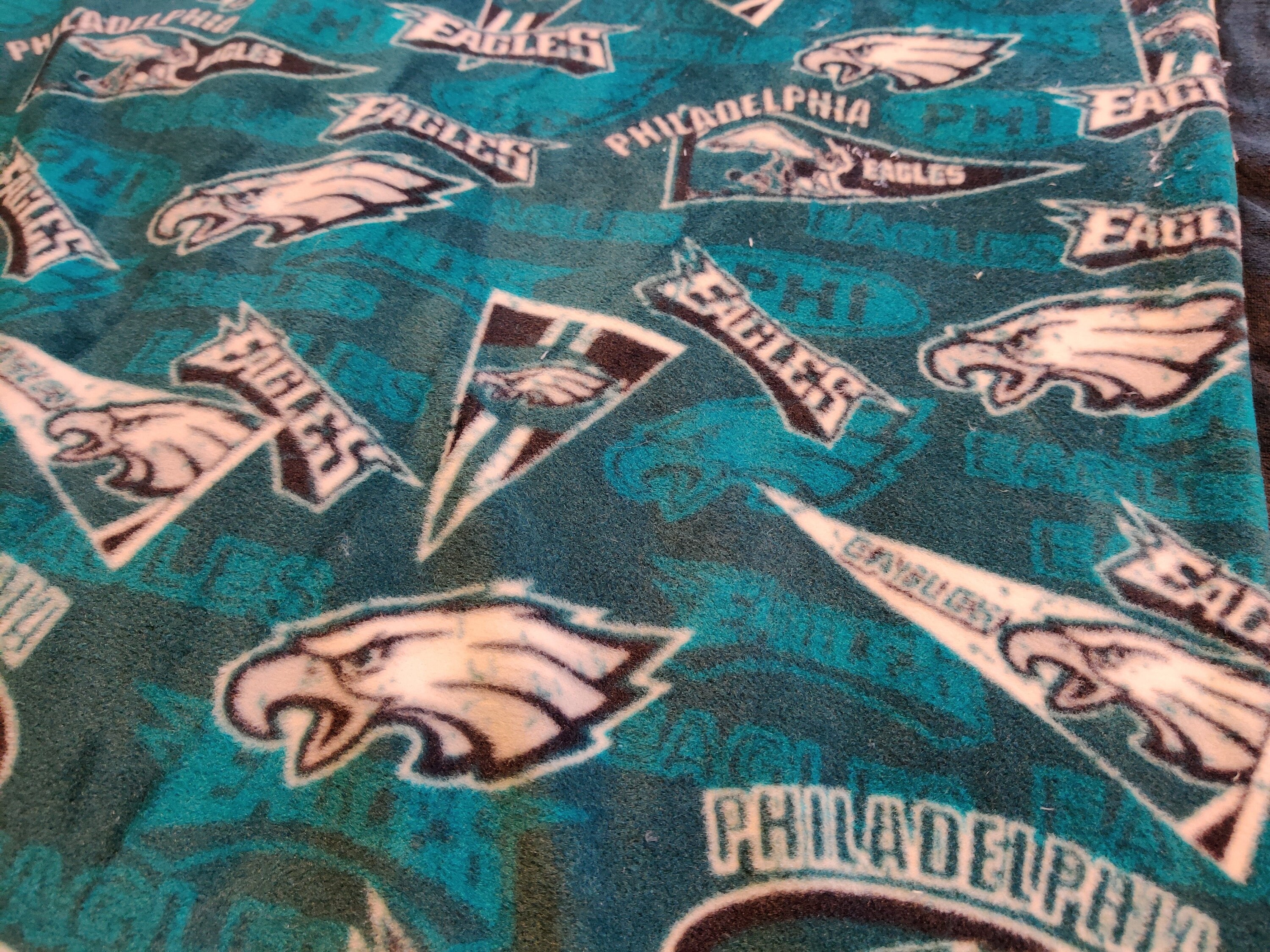 WURFDECKE 72W60L NFL Philadelphia Eagles Wimpel flagge | Etsy