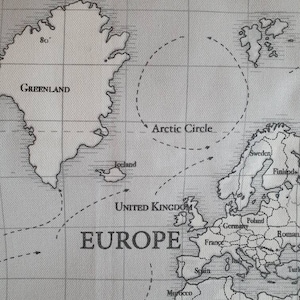 Funda de cojín/almohada con mapa del mundo gris (ligero cambio)