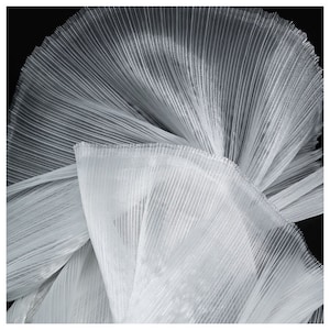 Op de afbeelding: Een doorschijnende witte stof met fijne, verticale plooien die een waaiervormig, stralend patroon creëren. Het materiaal heeft een delicate, transparante kwaliteit met een subtiele glans, met dichte, parallelle lijnen die vouwen en overlappen tegen een donkere achtergrond.