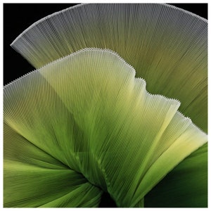 Avocado Green Gradient Organ Pleated Hard Mesh Fabric Plisse Fabric Accordion Crimping Wrinkle Modeling Decorative Designer Fabric M105F8